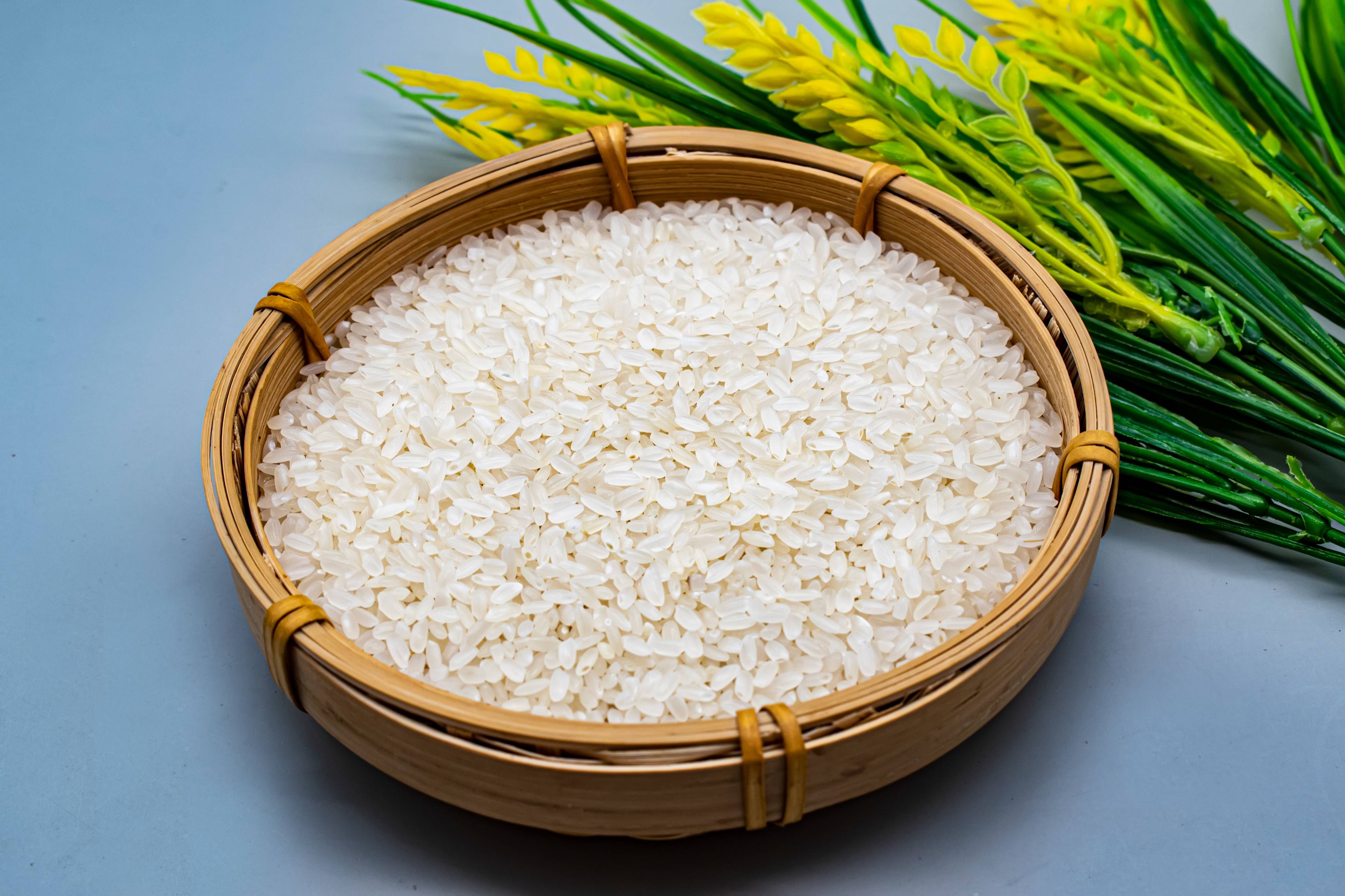 江西:粮食产量连续10年超430亿斤,以科技赋能提升粮