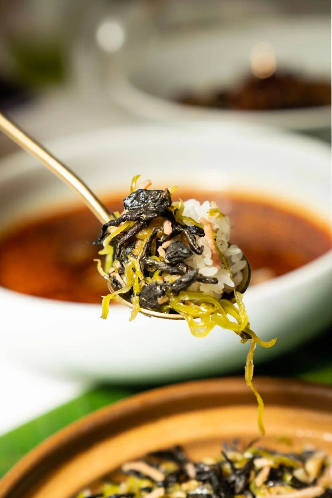 黑牛肝菌&青
