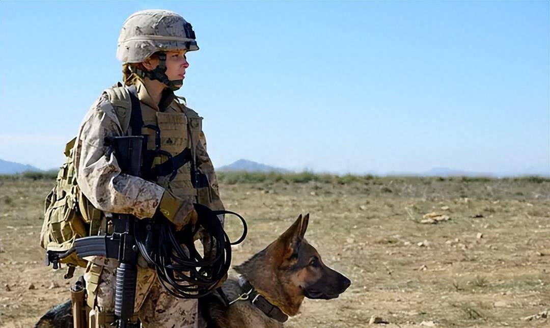 她在一次严重的伤害之后不屈不挠地努力争取重返前线,并与雷克再次