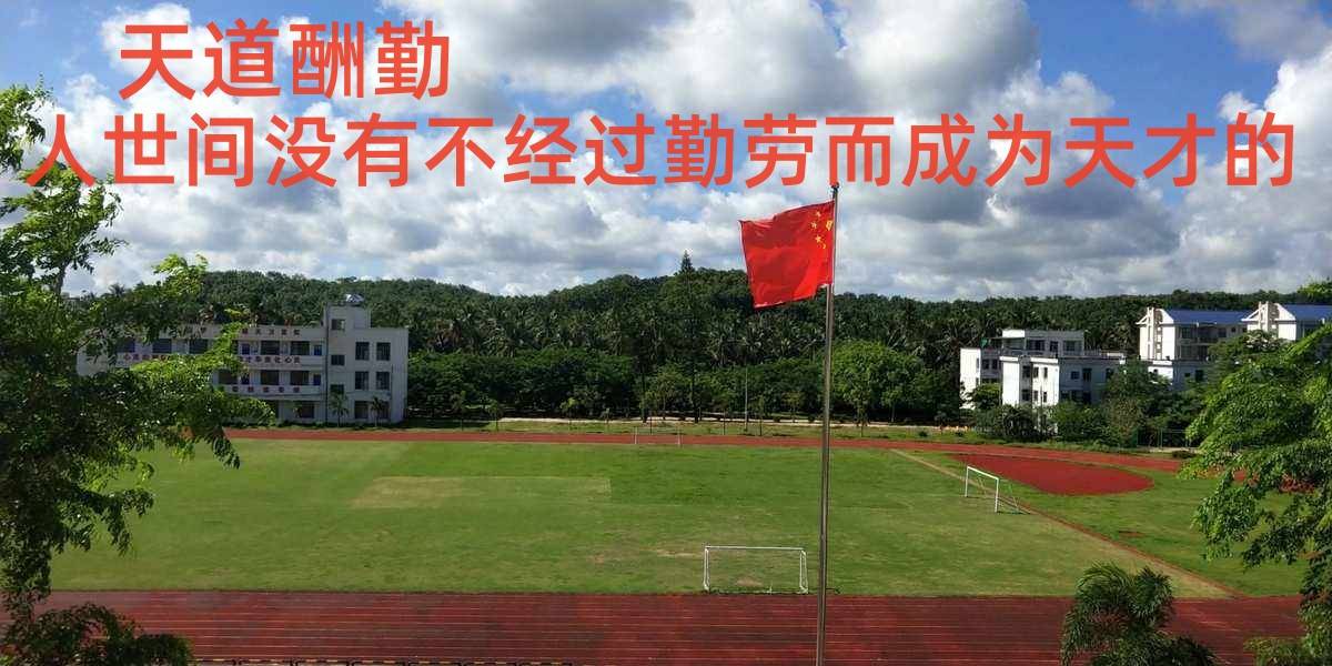 小学班主任15年工作总结：家长需要了解的教育真相