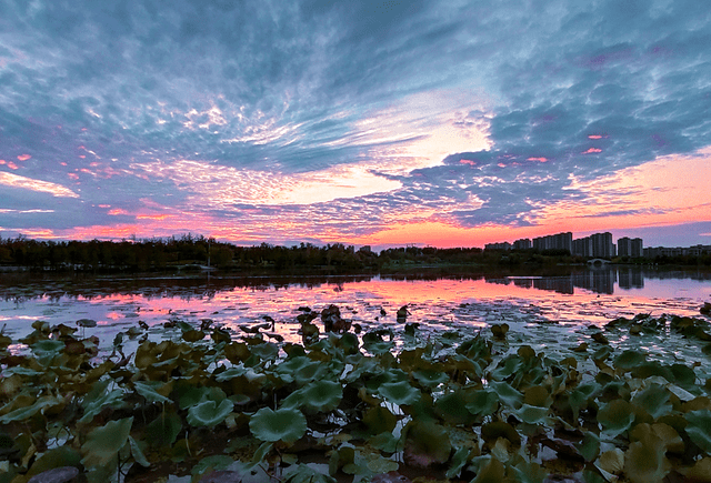 【行摄遂平】夕照玉湖美 流云霞满天_彩霞_音乐_夜色