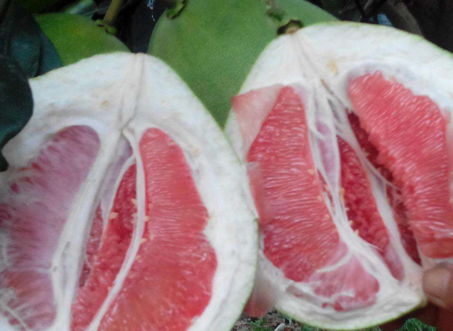 这么选最新鲜划算_水果_白柚和_果皮