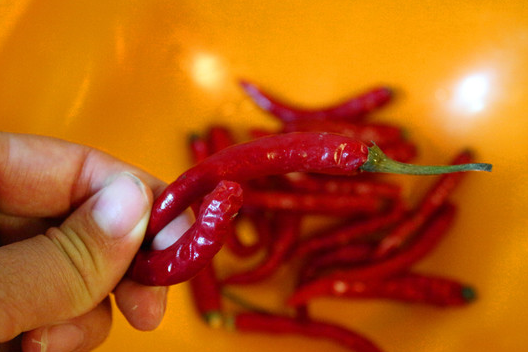 5种"最长胖热量够高"食物,我赌50包辣条,你肯定戒不掉_腐竹_辣椒_花椒
