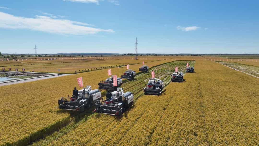 佳木斯市委副书记,市长王铁,佳木斯市委常委,抚远市委书记何大海