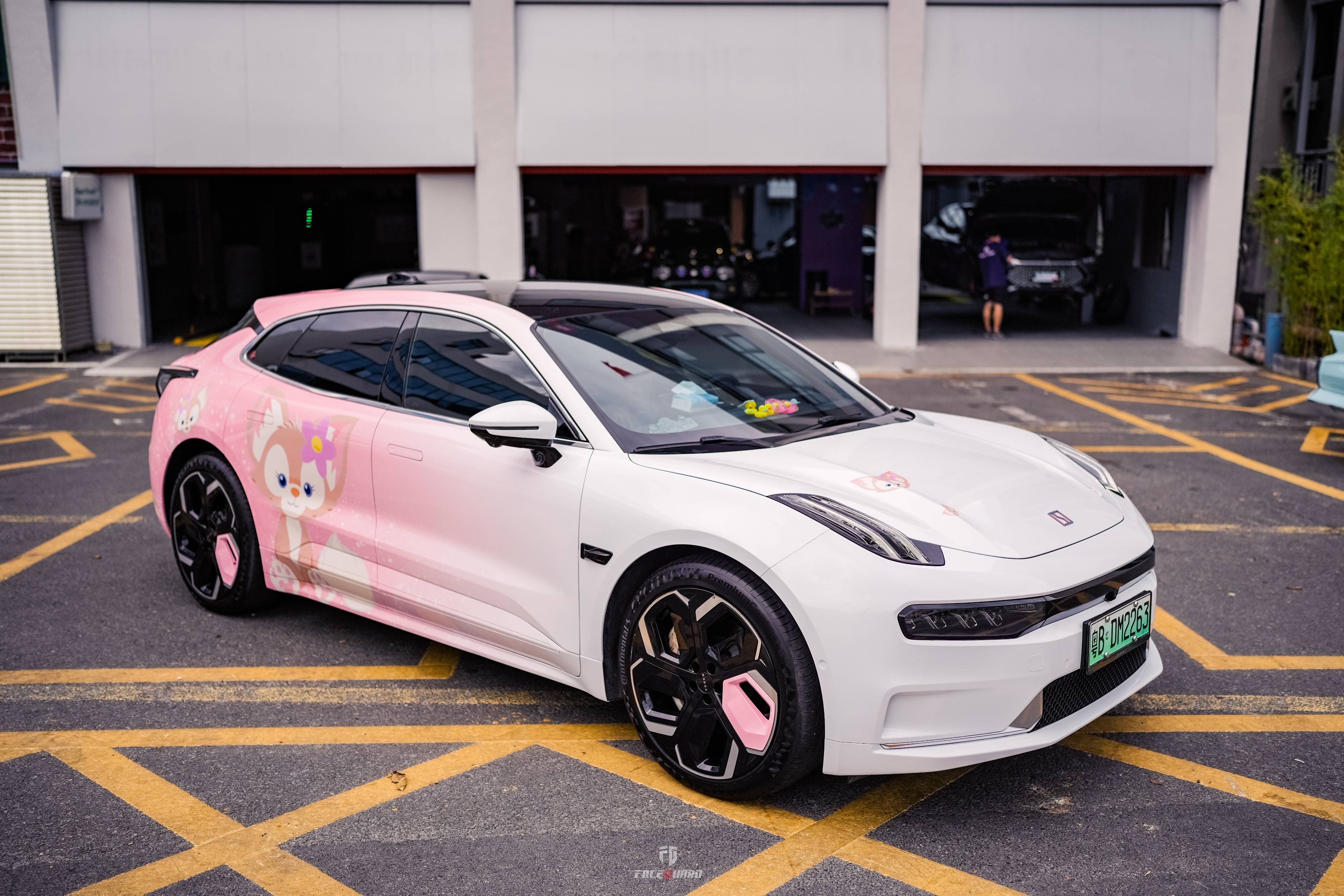 极氪001个性彩绘涂装案例盘点,这么改更有味道!_搜狐汽车_搜狐网