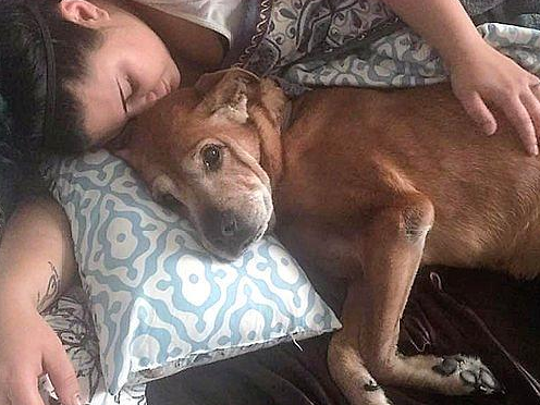 主人介绍婴儿给18岁老汪,数天后发现它异常反应哭崩_rocky_beth