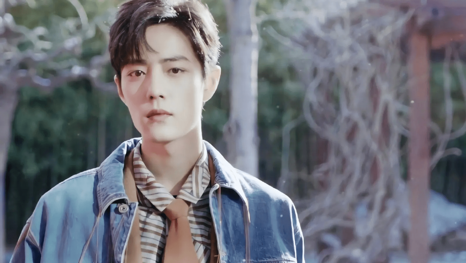 肖战被实名举报偷税漏税!