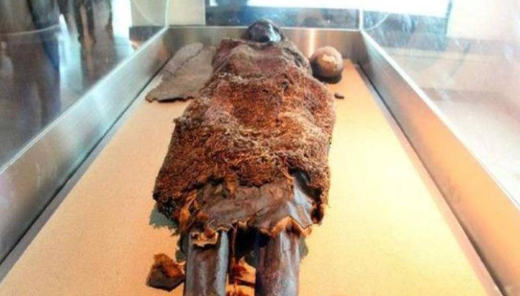 所以,这具千年古尸简直就是各种意义上的世界第一尸