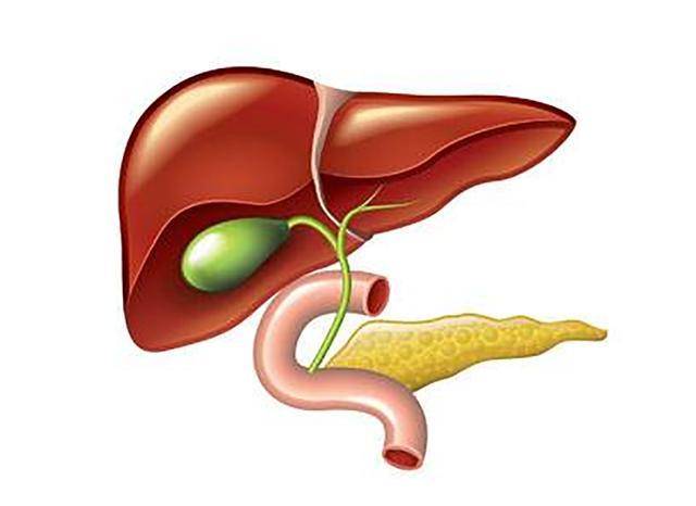 【和谐解读】广州和谐医院邵汛帆教授:胆囊癌的定义是什么?