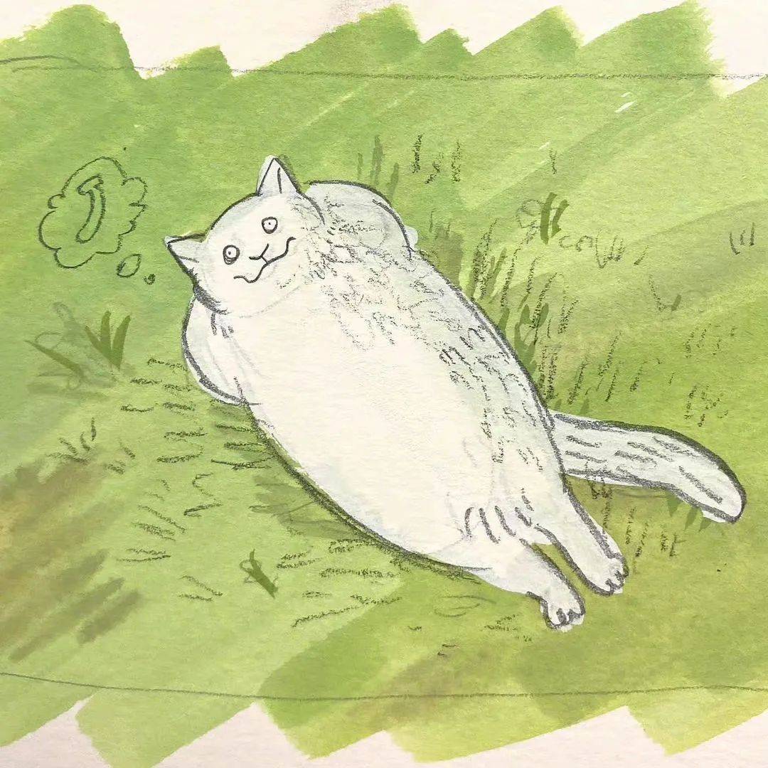 kathy lam:猫咪今天有点颓