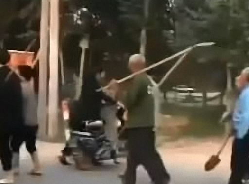 马戏团的老虎逃脱,村民扛着棍子就去捉 马戏团的老虎逃脱,村民扛着棍子就去捉