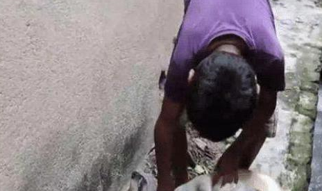 印度10岁男孩喝狗奶上瘾，村子里的流浪狗见到他转身就跑