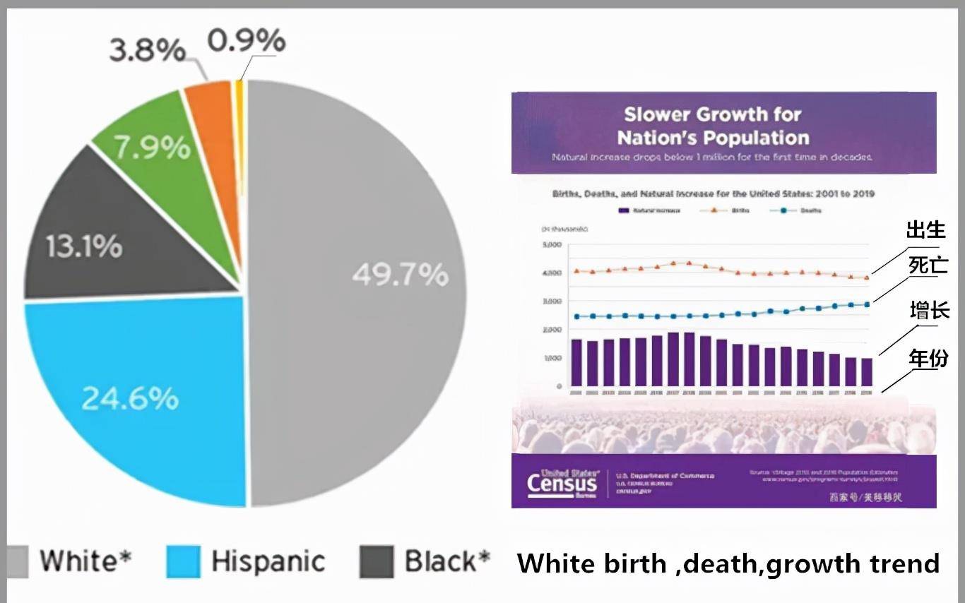 research center)"发布了最新2019年"美国各人种比例图表"和"美国白人