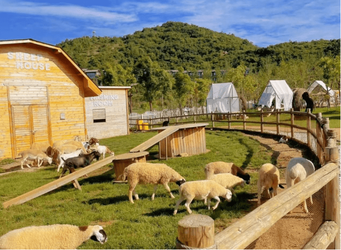 疯马牛萌宠乐园设计│农业也能红!网红农庄的成功之道