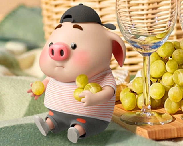 亥猪:亥猪位居乾宫,五行为水,金水相生不仅聪慧,也会得到师长眷顾.