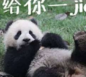 奶爸为教熊团子用奶瓶，躺在地上亲自示范，团子：成熟一点可以吗