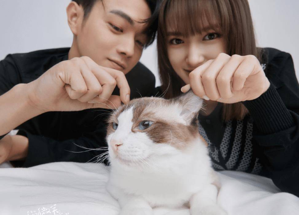 观众_程潇_许凯