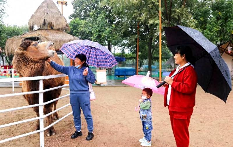 乡旅图说 | 夏县:"家门口"动物园吸引游人_德兰_山西省_度假村