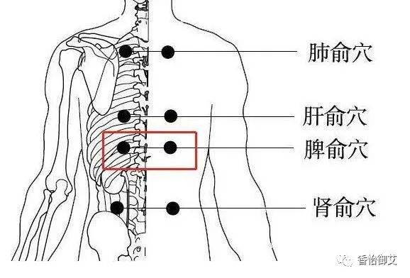 少阴俞的准确位置图片图片