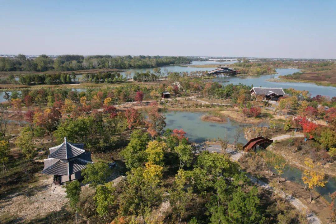 颍州西湖上新,秋色盛景预览_北门_阜阳市_游客