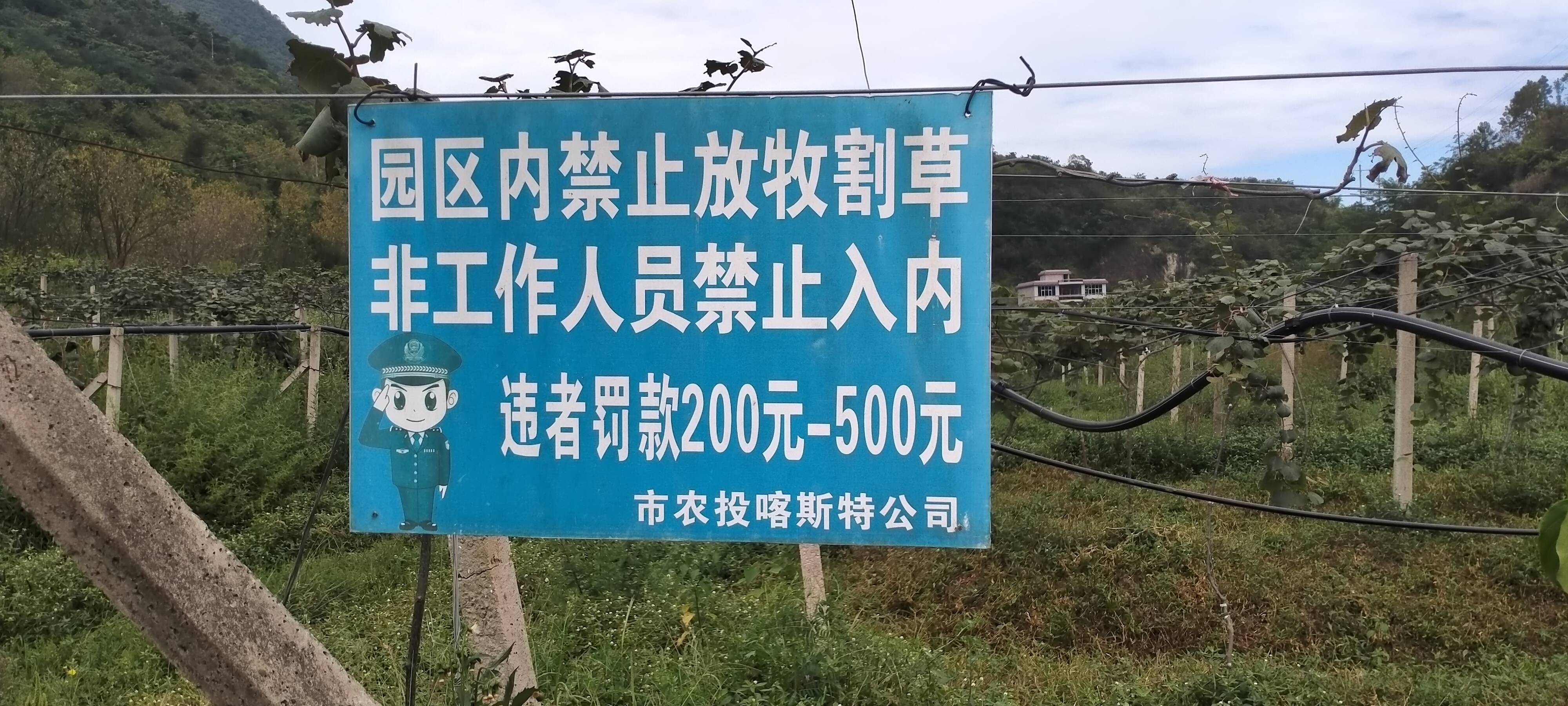 种植_公司_租金