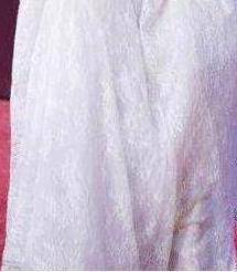 王晶的"御用"女郎童菲到底有多大胆?