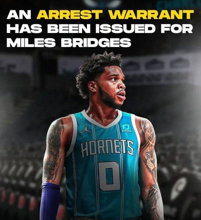 布里奇斯_琼斯_黄蜂