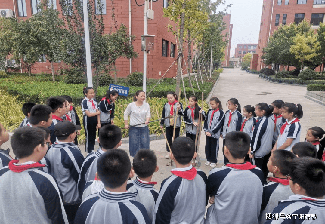 宁阳县洸河学校图片