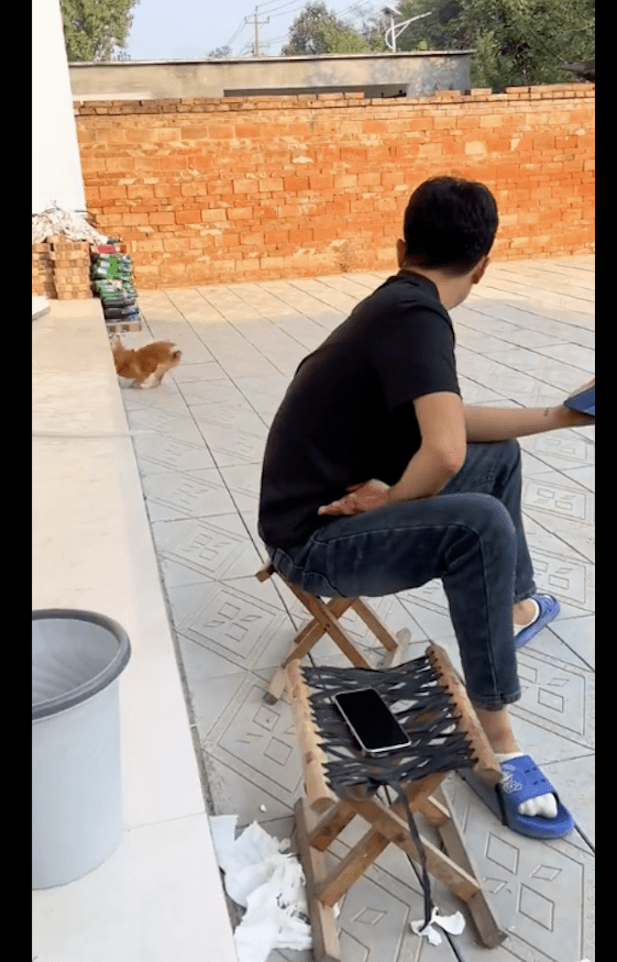 狗狗傻不拉几的,跑着跑着直接就往台阶上撞懵圈了,疼得嗷嗷叫! 狗狗傻不拉几的,跑着跑着直接就往台阶上撞懵圈了,疼得嗷嗷叫!