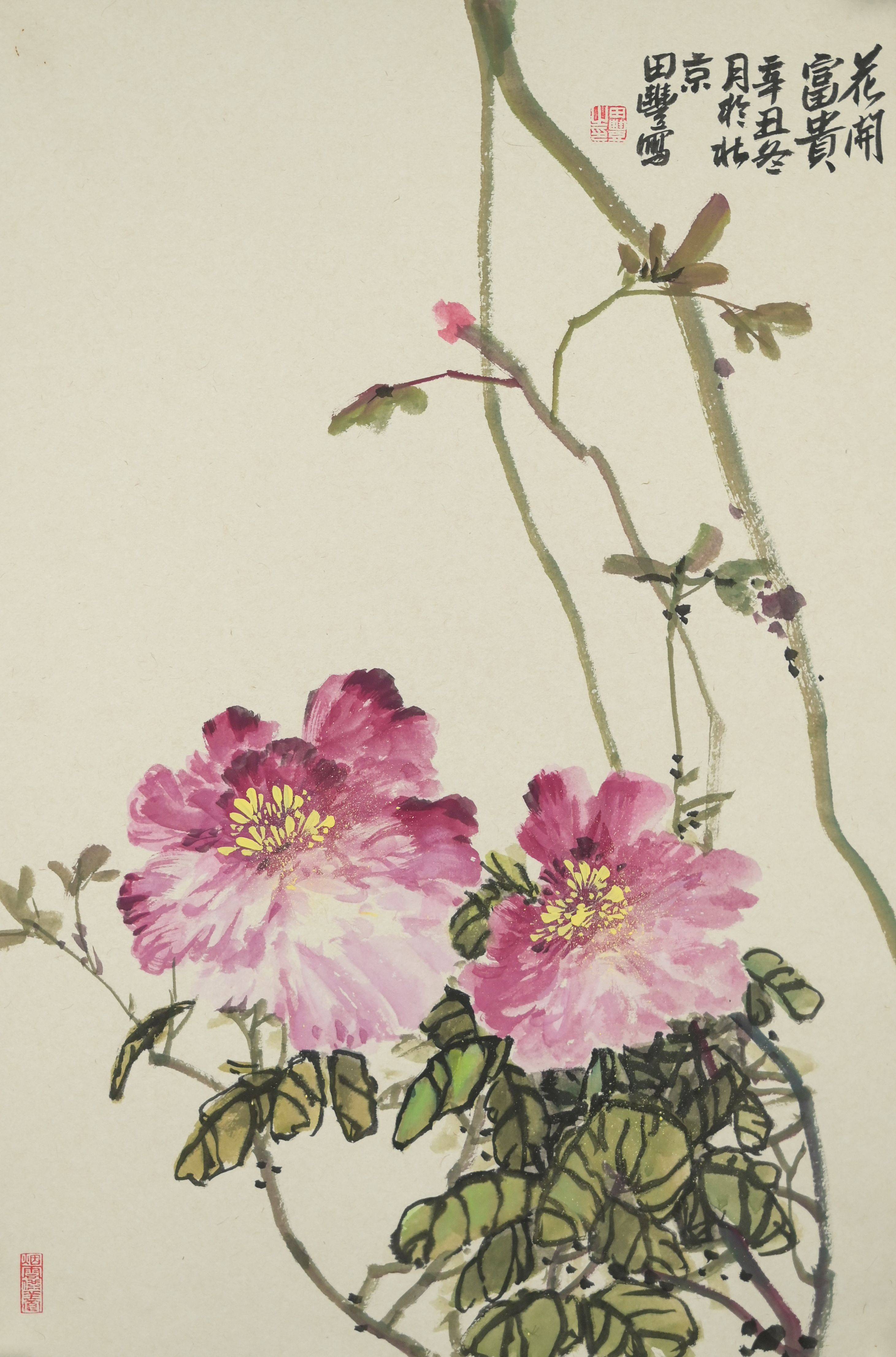 画家田丰大红袍作品赏析_中国_山东_杨象宪