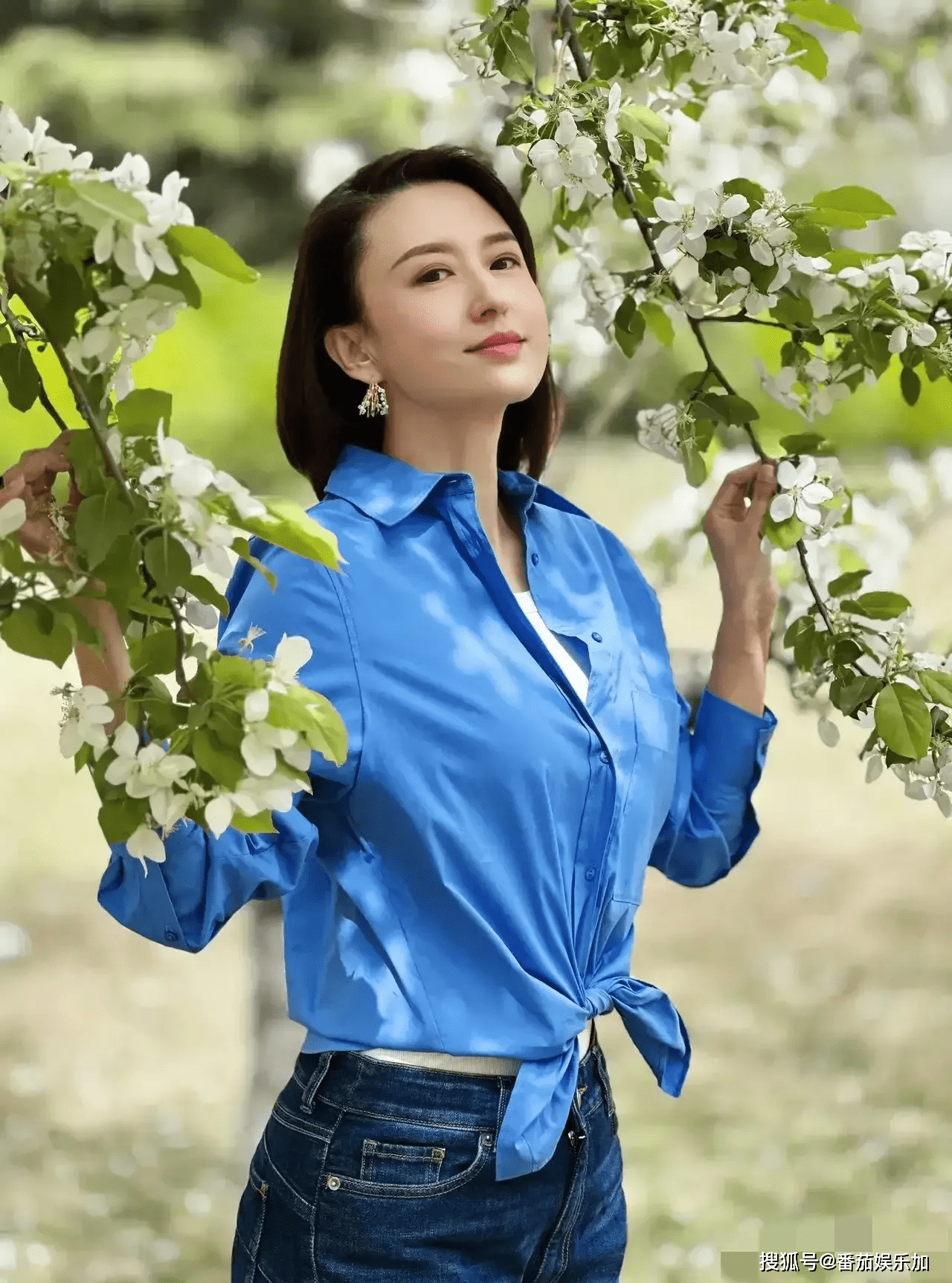 央视张蕾紧急暂停非洲之旅,再次迎来职业生涯"高光时刻"_音乐_观众们