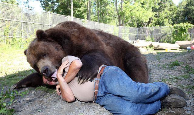 上海动物园熊吃人,谁之过?