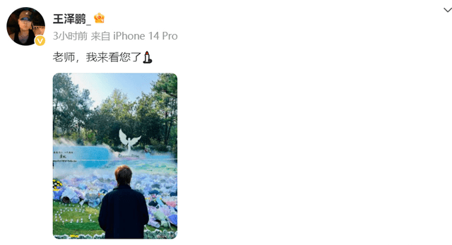 原创            好声音学员王泽鹏悼念李玟，言语很不舍，曾在网上爆料节目组黑幕