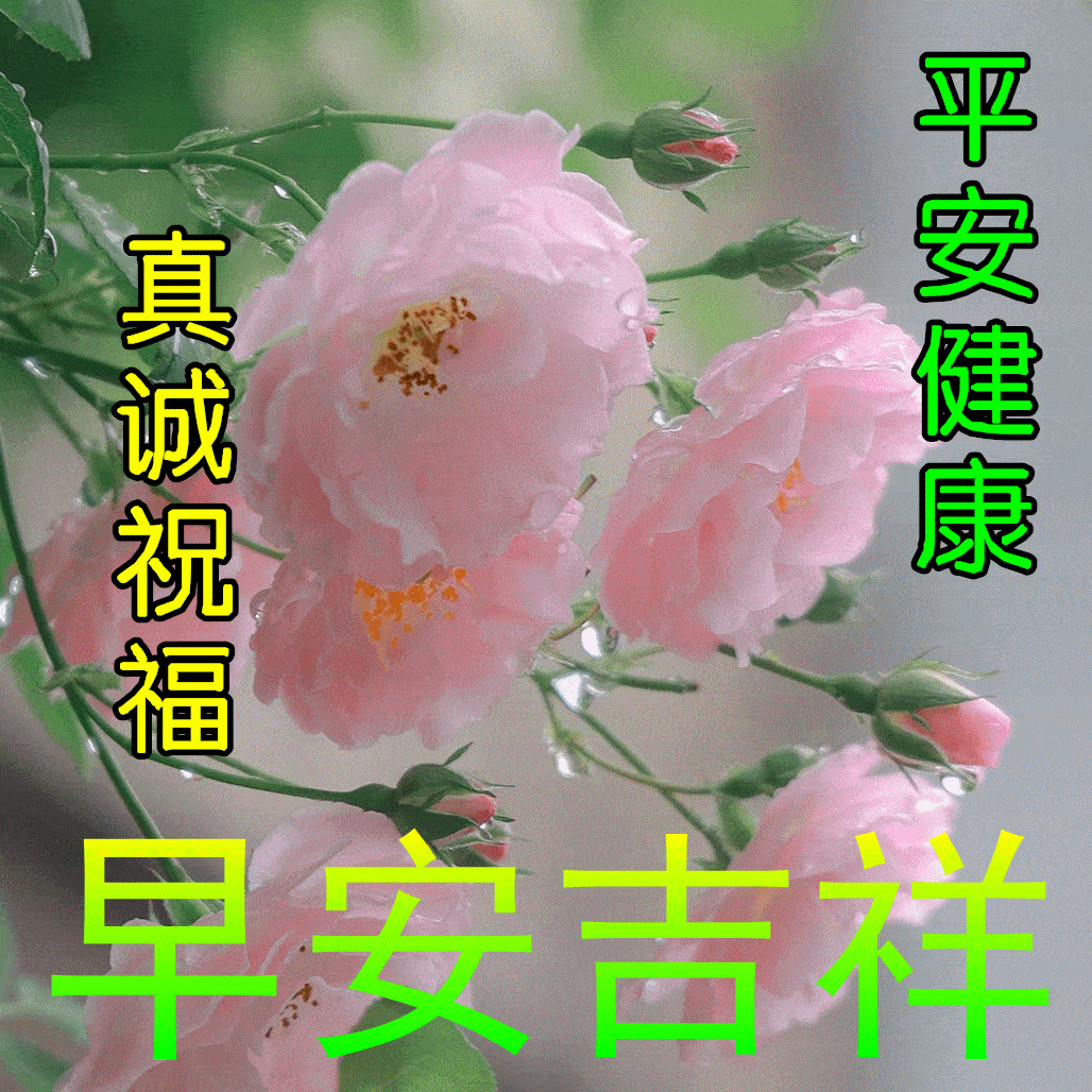 9张暖心早上好问候动态表情图片带字带祝福语 秋日清晨早安问候祝福语简短语句