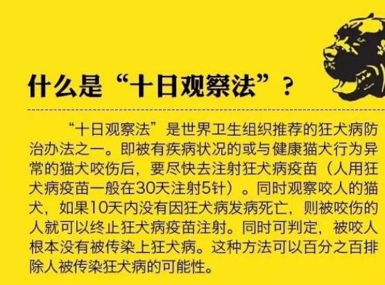 男童被狗咬狂犬病发作学狗叫?网友:漫威电影了解一下…… 男童被狗咬狂犬病发作学狗叫?网友:漫威电影了解一下……