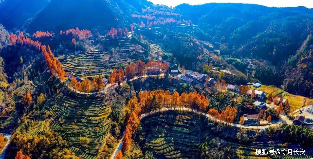 陕西省汉中市西乡县堰口镇午子山红叶诱人等您来_线路_山坡_红色