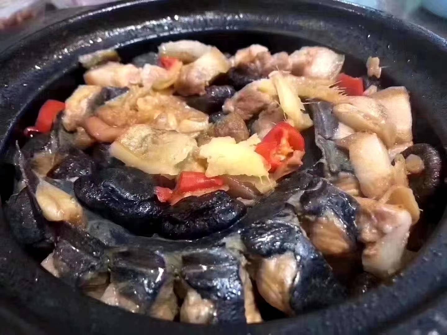 鲈麻鱼图片