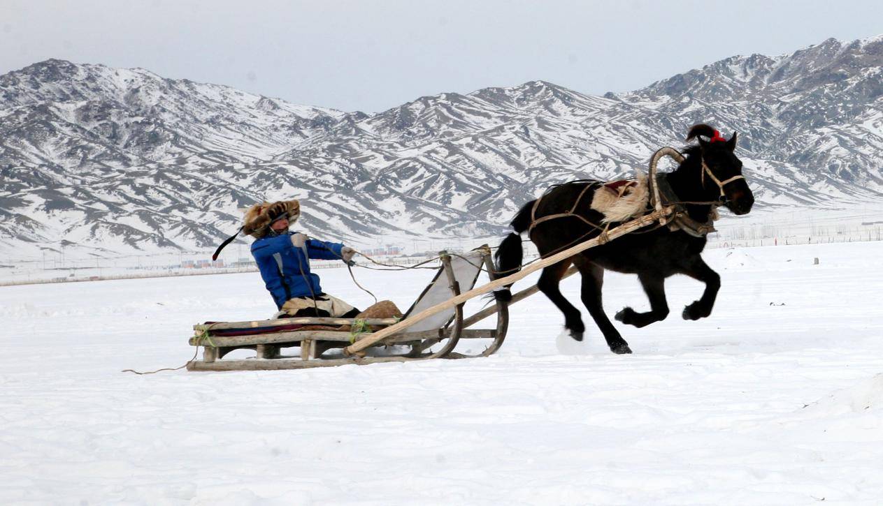 "逐梦冰雪·畅游富蕴"系列报道|"马拉爬犁"驰骋冰雪季_富蕴县_摄影