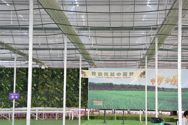 淮安区教体局与江苏百斯特农业依托百斯特农业生态园丰富的农业资源