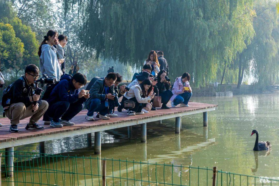 "大美湿地·润泽齐鲁"网络主题活动走进台儿庄运河国家湿地公园_保护