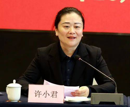 新当选主委许小君表示,自己肩负民革四川省委会,中共绵阳市委的重托和