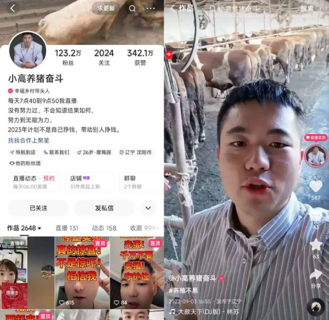 从农村兽医到山货主播,快手要帮10万农民做网红 | 新榜出品_直播_视频