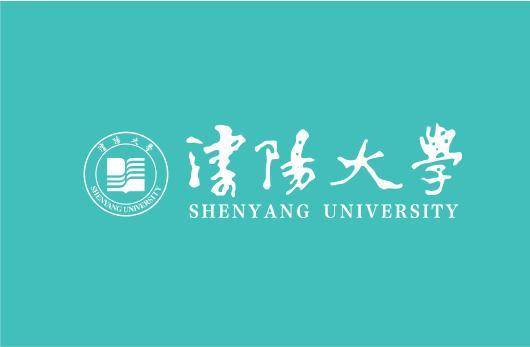 沈阳大学历年考研真题专业课复习资料报录比分数线