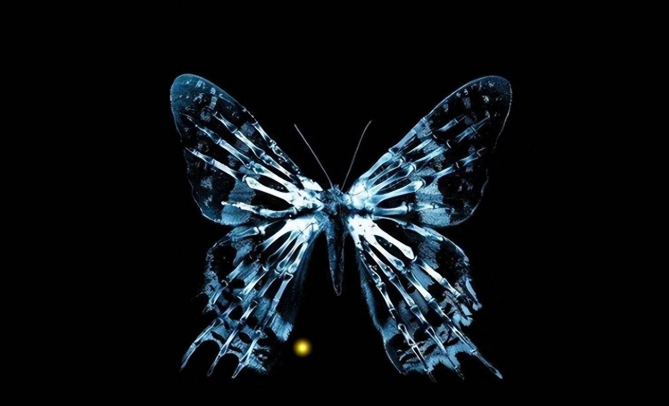 《蝴蝶效应》如果一个人可以回到过去,究竟是好事还是坏事?