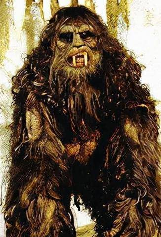 野人行径,抓捕后意外发现世外文明,传说生物被活捉_周林海_村民_森林