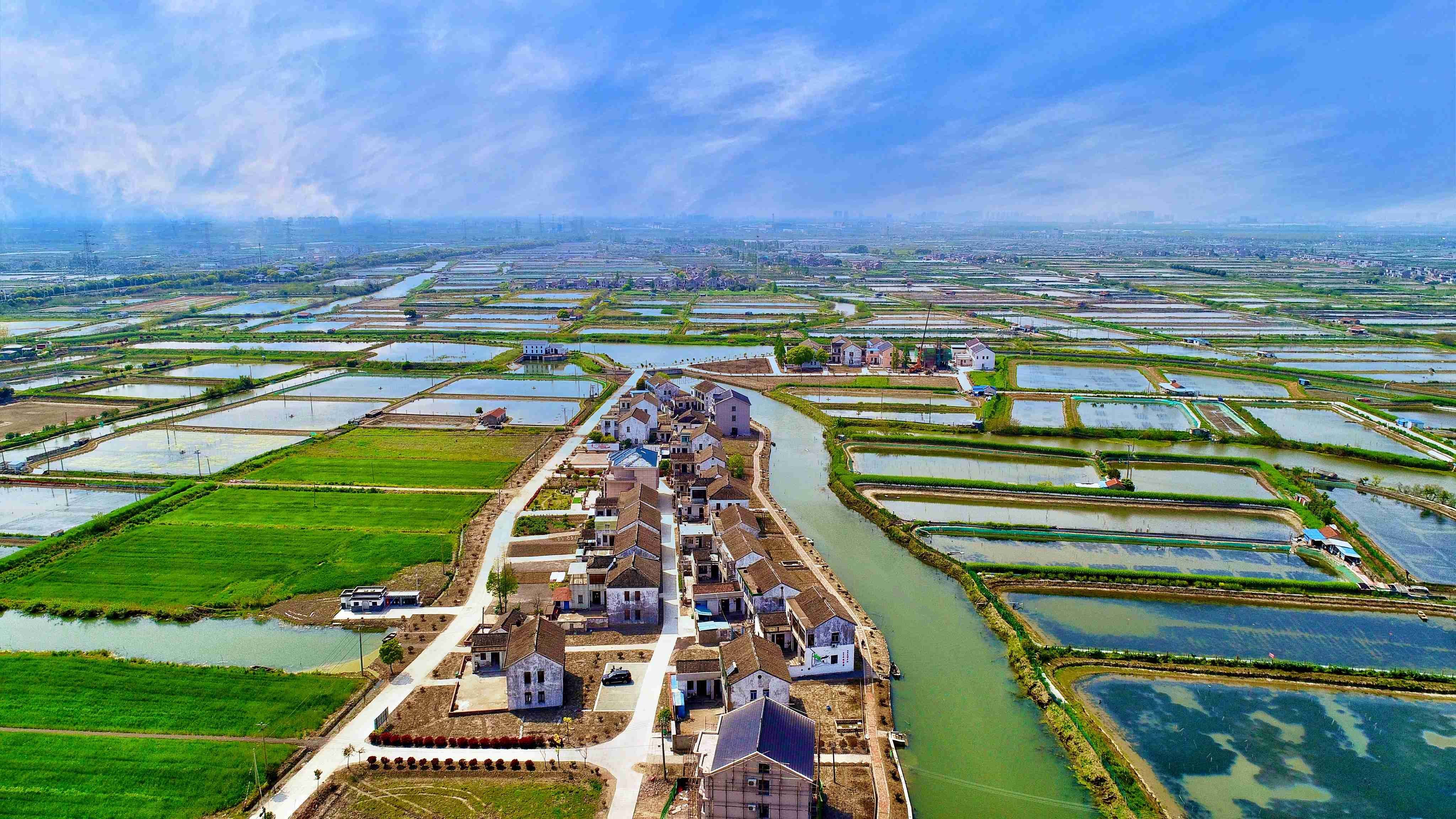 李市村位于常熟市古里镇,地处偏僻,水域较多,因此水产养殖是李市村至