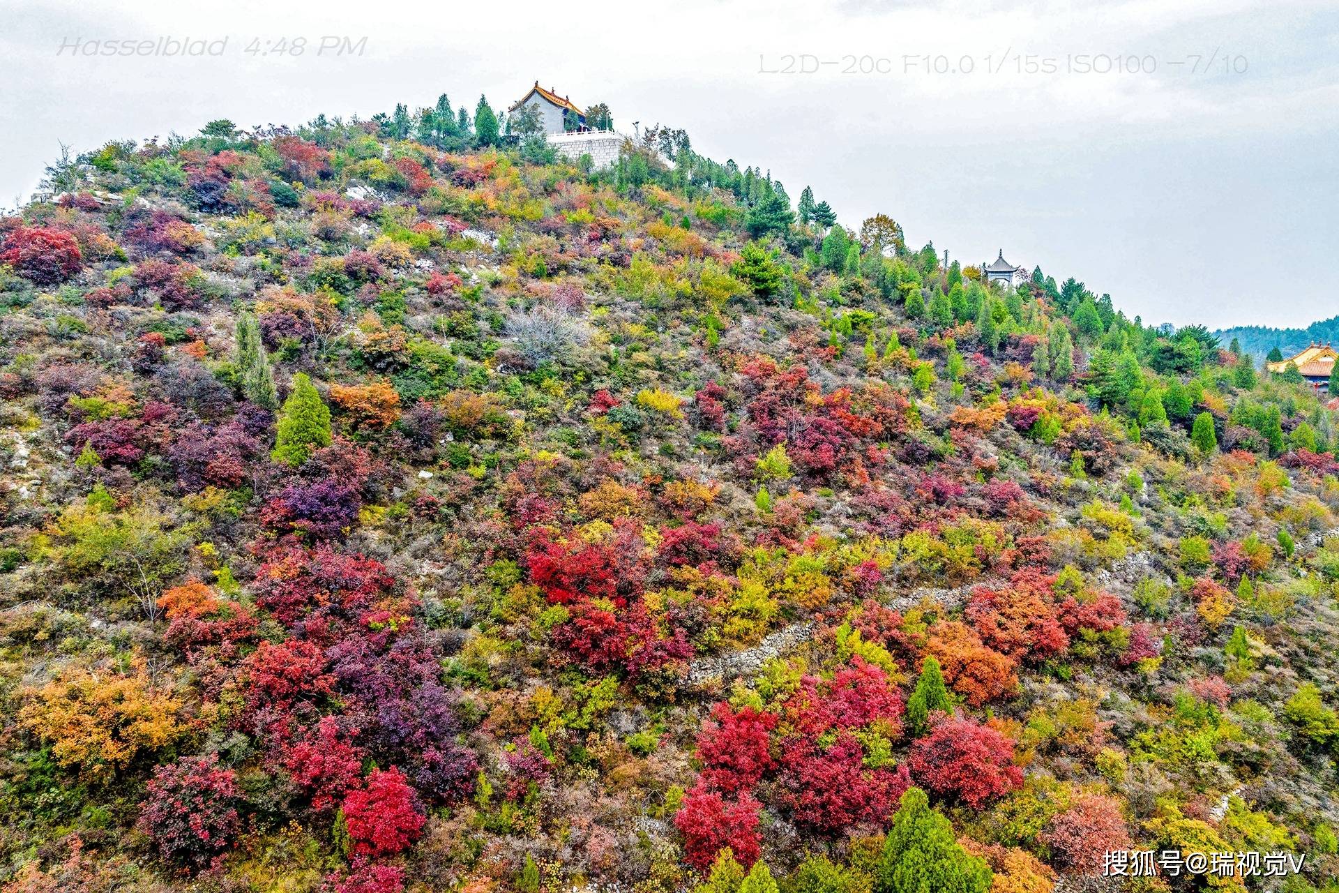 柏尖山:秋色斑斓,红叶醉游人丨河南安阳林州