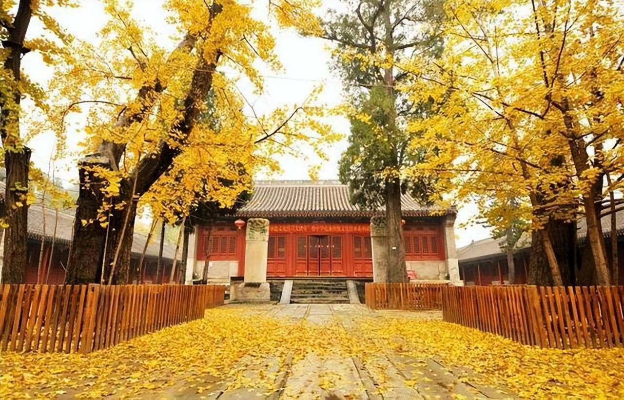 中国最神秘的寺庙，已封存500年不接客，而如今为何又对外**？(图5)