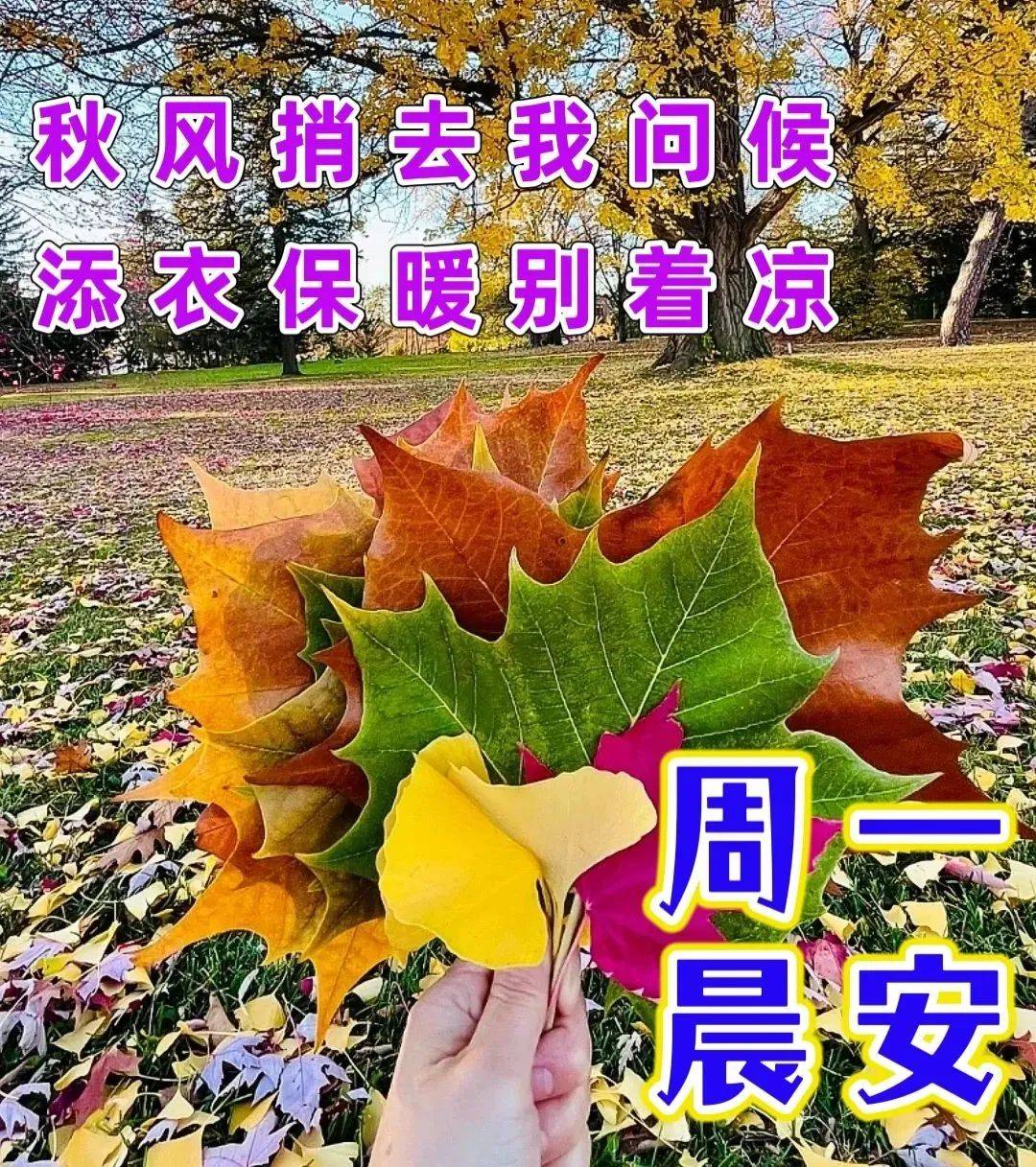 天气晴朗早安图片图片