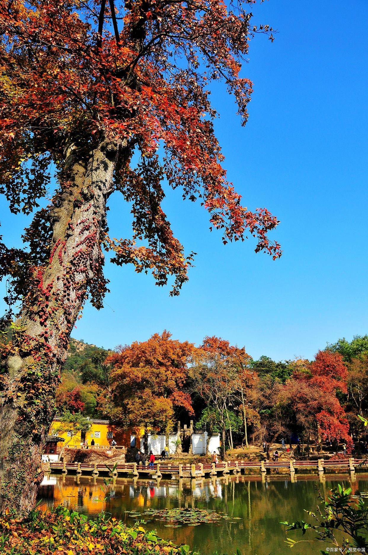 林州天平山风景区图片